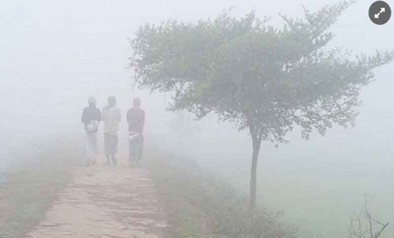 কাল থেকে তাপমাত্রা বাড়বে, শৈত্যপ্রবাহ থাকবে আরো ৩ দিন